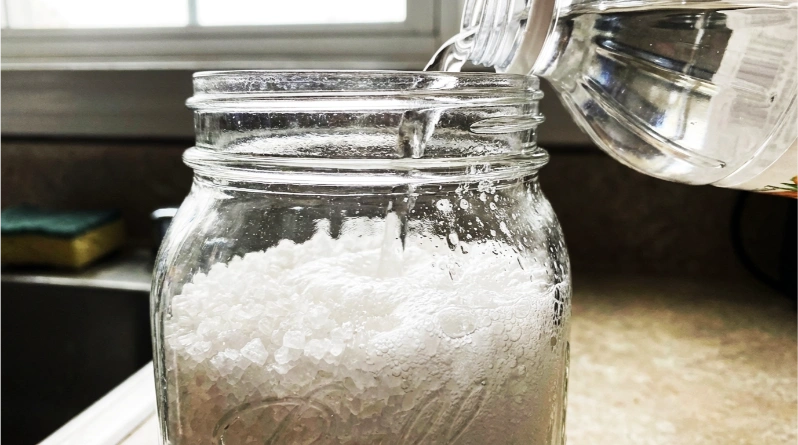 Mix Epsom Salt and Vinegar in Your Garden and Just Watch